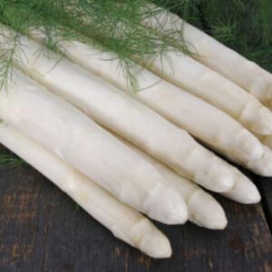 Weißer Spargel Backlim Schwer